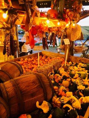 Various pumpkins and gourds for sale