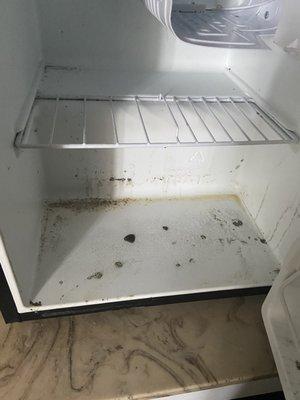 Fridge with mold