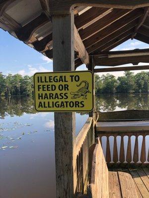 Boardwalk walkway