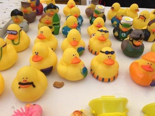 They do the annual rubber duckie race! Visit their webpage for details!