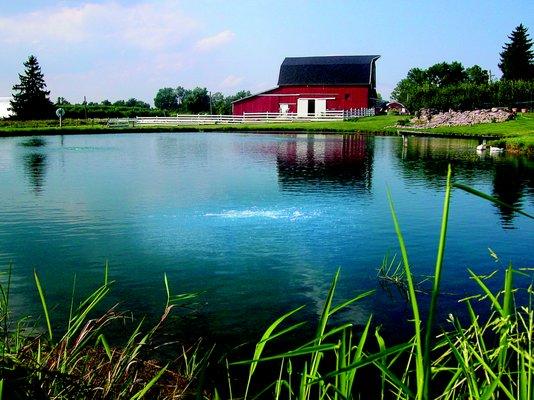 Pond aeration