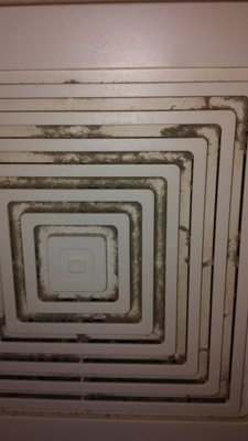 vent above our toilet