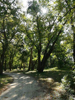 Rest area, nice and shady