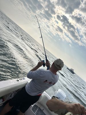 Multiple striped bass hookups