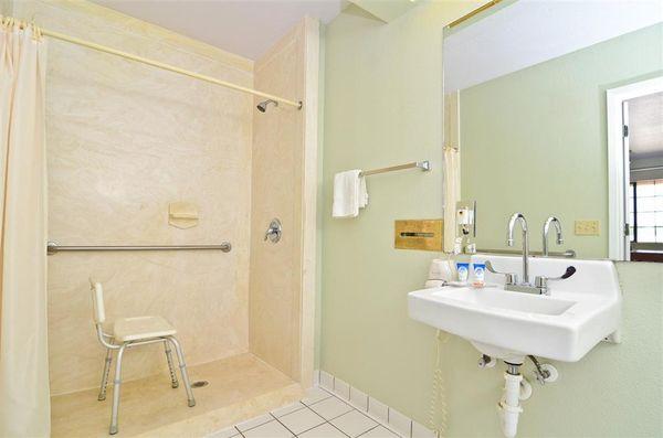 Grab Bars in Bathroom