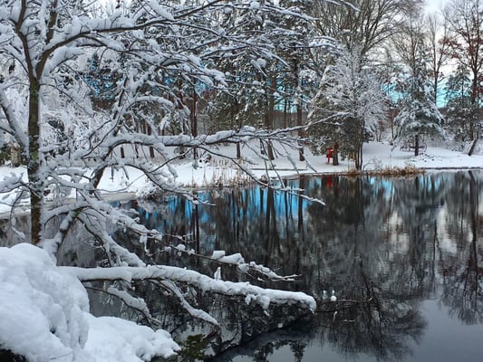 Winter scenes at Someday Farm.