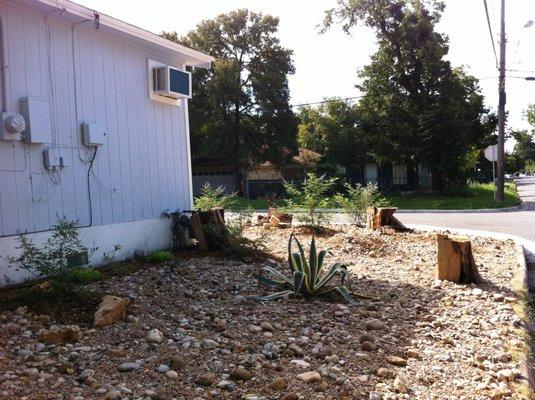 Installed a new Native Landscape for a Row House