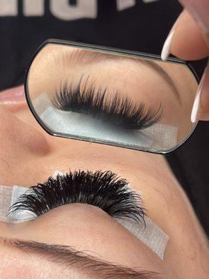 Mega Volume Lashes