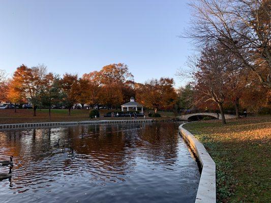 Halls Pond Park