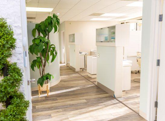 Hallway - Dental Center of Jacksonville