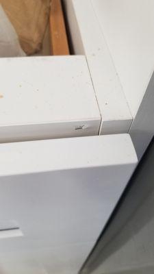 You have one job ... build the cabinets w/o having the nails/staples poke through the product. Who cares if you miss??? They don't!