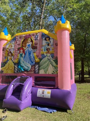 Another view of our Princess bounce house