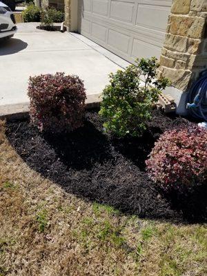 Mulch Application