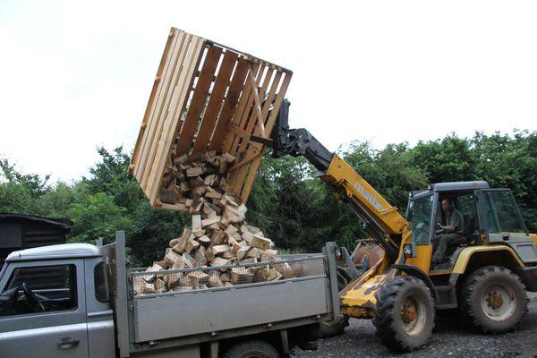 firewood delivery