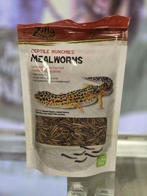 Meal worms