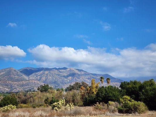 View from trail