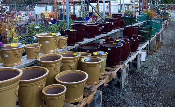 We have a large variety of garden pots!