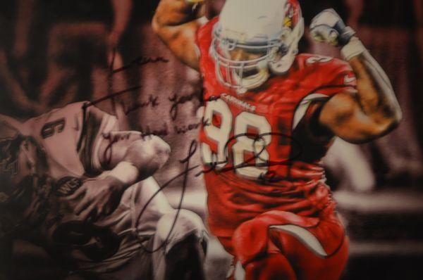 Frostee Rucker Arizona Cardinals