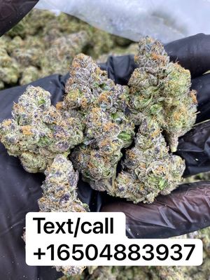 Highly graded cannabis flowers at farm prices tap in for exclusive deals