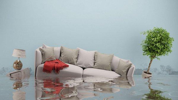 Flooded Basement Services in Joliet, IL