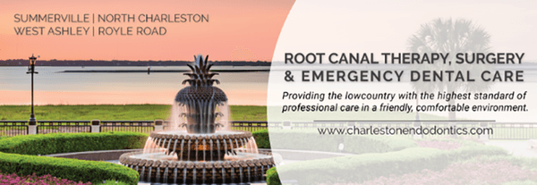 Charleston Endodontics