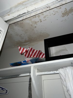 MOLD in my closets