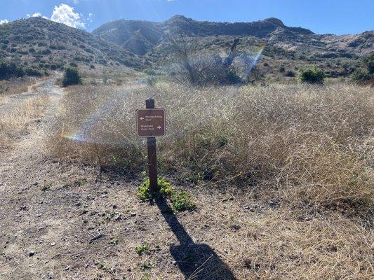 The loop split, the left goes near the creek then up the mountains. The right goes near the lake then up the mountain.