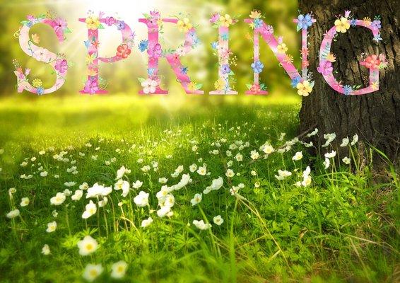 Spring is an excellent opportunity to Spring into A New You