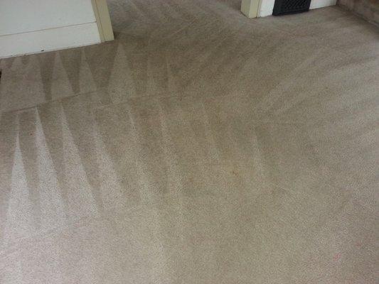 High quality carpet cleaning