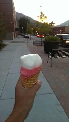 Lemon sorbet and raspberry sherbet.