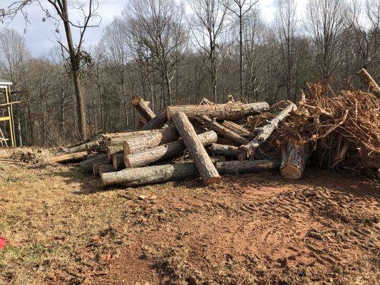 Clear and cut up trees