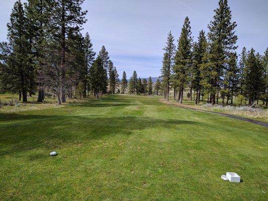 #16 Teebox - Long downhill dogleg right