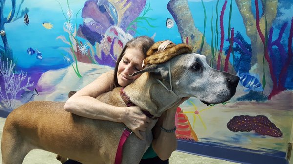 Dr Marlene is very gentle, loving, caring with my Danes. We're always given several treatment options and get great care. Highly recommend!