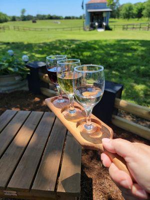 Wine flights?  Mix and match for your unique experience!