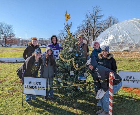 Team Everson setting up the Alex's Lemonade Stand Foundation for Childhood Cancer tree at the La Crosse rotary lights.