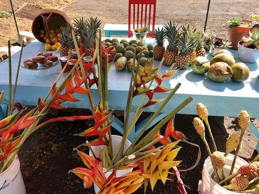 Pineapples, tropical flowers, coconuts