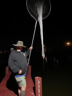 Shrimp dipping net.