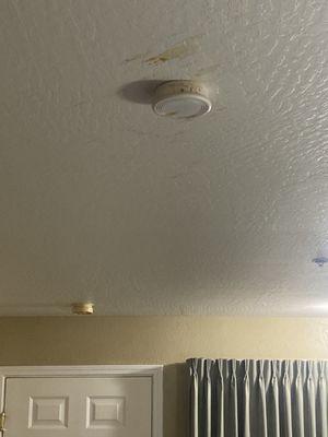 Gross stains on ceiling