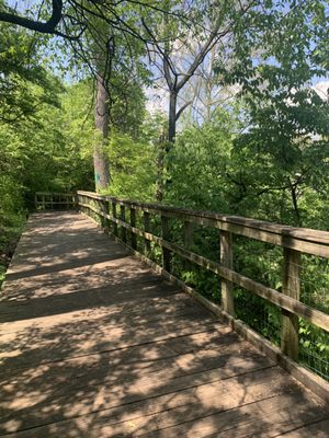 A beautiful walk at the park