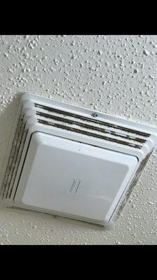 Disgusting air vents.