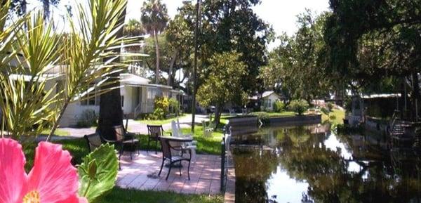 Dora canal on our porch overlooking the Florida nature.