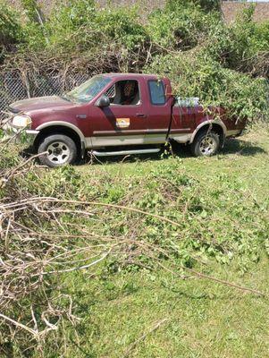 Brush and tree removal