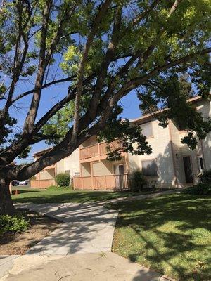 Beautiful views from out courtyard where tenants can sit outside and be shaded.