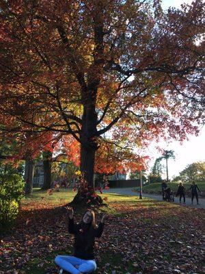 My favorite park in autumn !