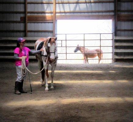 Aubrey ground work with "A Colorful Melody" (Penny)