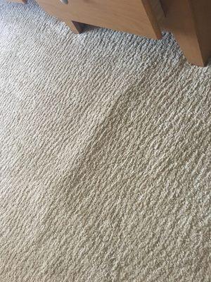 Bubbling in carpet