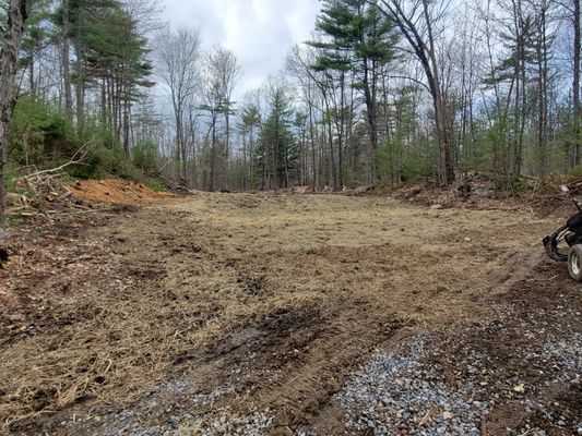 This landing area was seeded and mulched after the completion of a timber harvest.