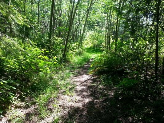 Nature trails for training and one on one attention.