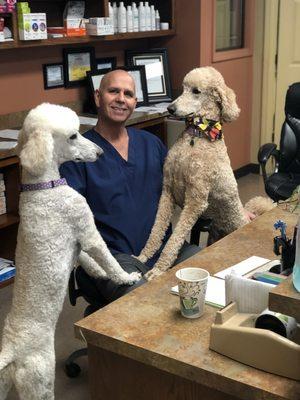 Dr. Divine and his Poodles