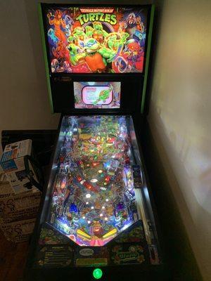 Ninja Turtles pinball, Soggy Bottom Brewery, Dunedin, Tampa Bay